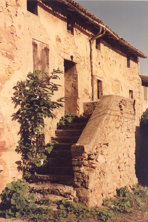 La casa natale alla Torre di Gragnano, Loiano
